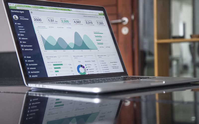 Analytics & Insights